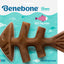 Benebone Fishbone