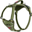 Halti Anatomy Harness