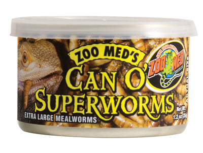 Can O' Superworms Extra Large Mealworms