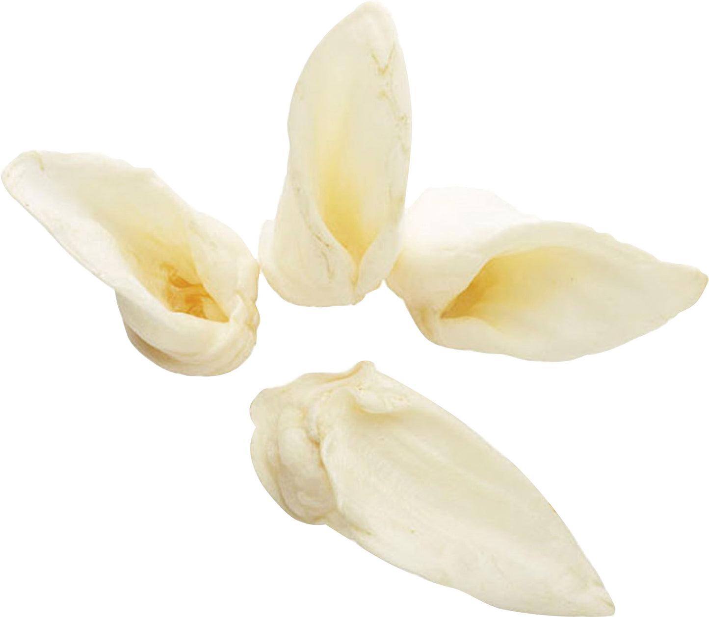 Redbarn Naturals Lamb Ears (Pack Of 50)