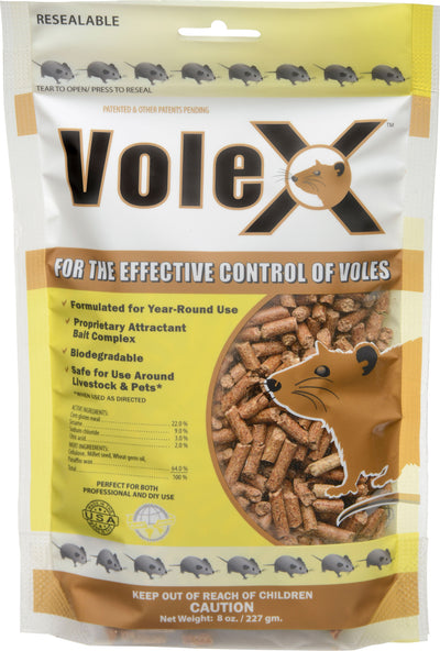 Volex Bag (Pack Of 6)