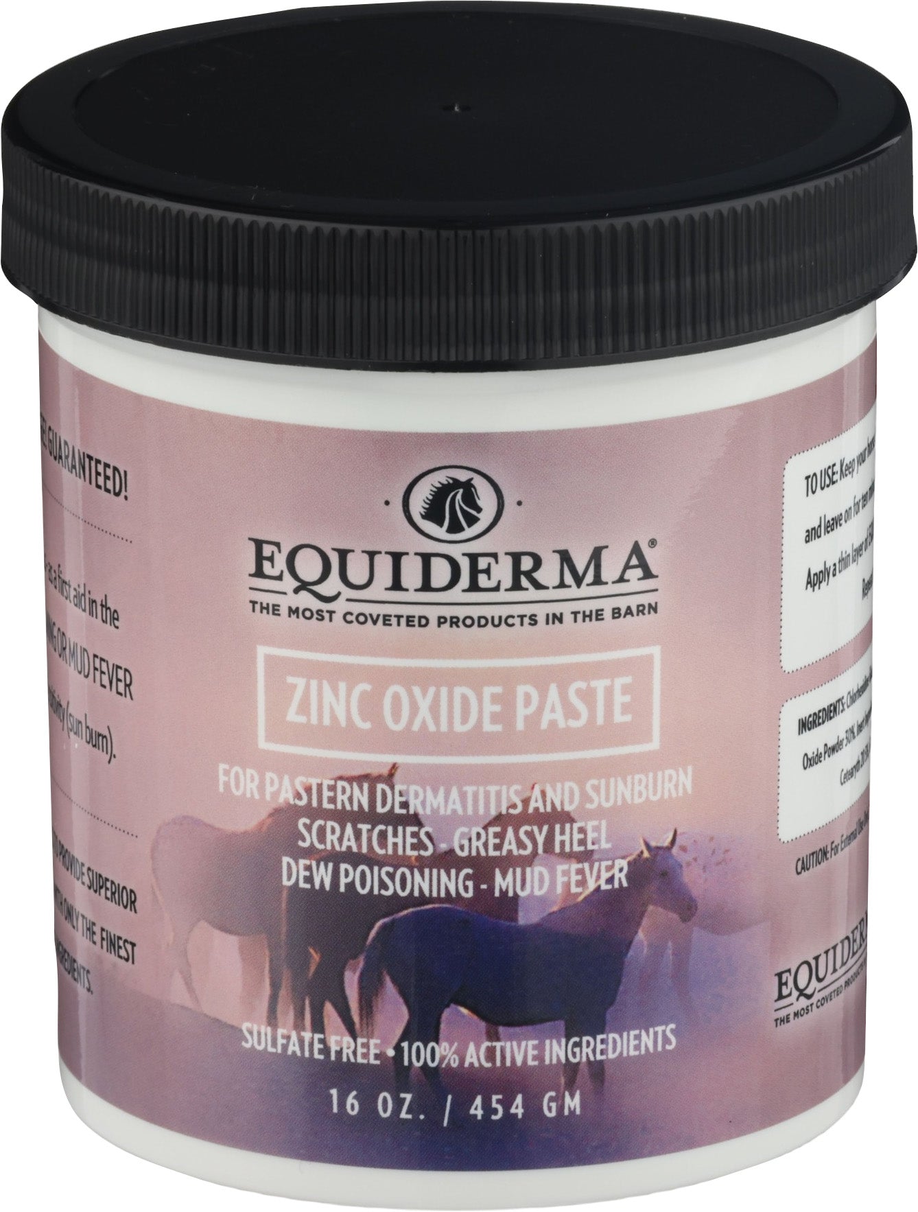 Equiderma Zinc Oxide Paste For Dermatitis & Sunbrn