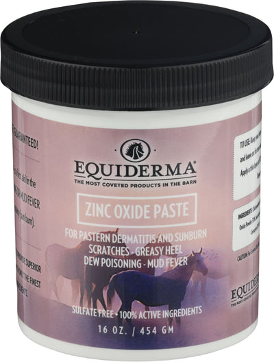 Equiderma Zinc Oxide Paste For Dermatitis & Sunbrn