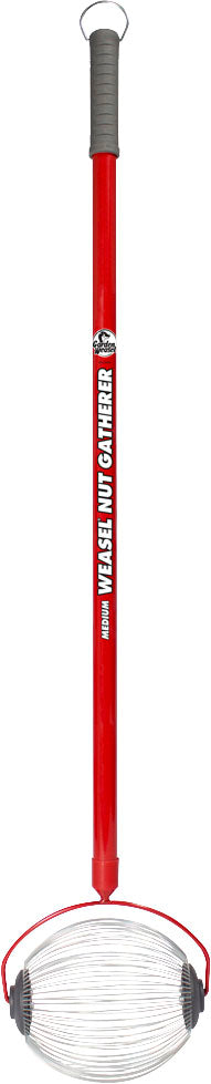 Garden Weasle Medium Nut Gatherer