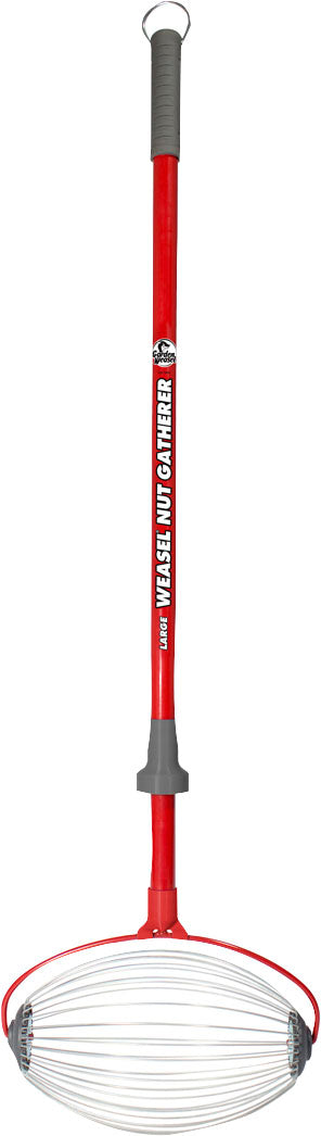 Garden Weasle Large Nut Gatherer