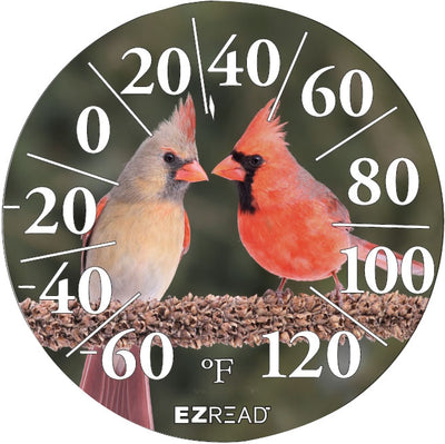 Ezread Indoor/Outdoor Dial Thermometer