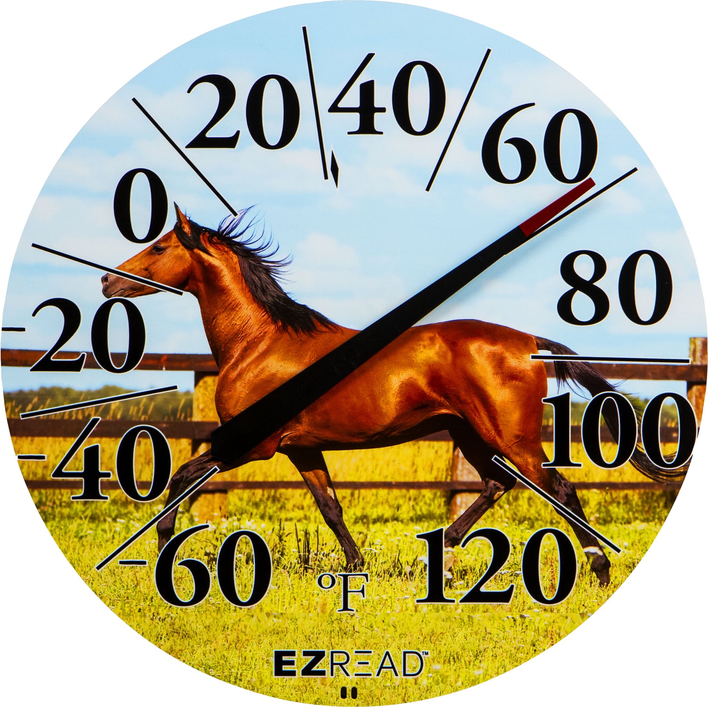 Ezread Indoor/Outdoor Dial Thermometer