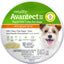 Front view of a packaged Vetality Avantect II Flea & Tick Collar for Dogs, showing two collars and a dog image.