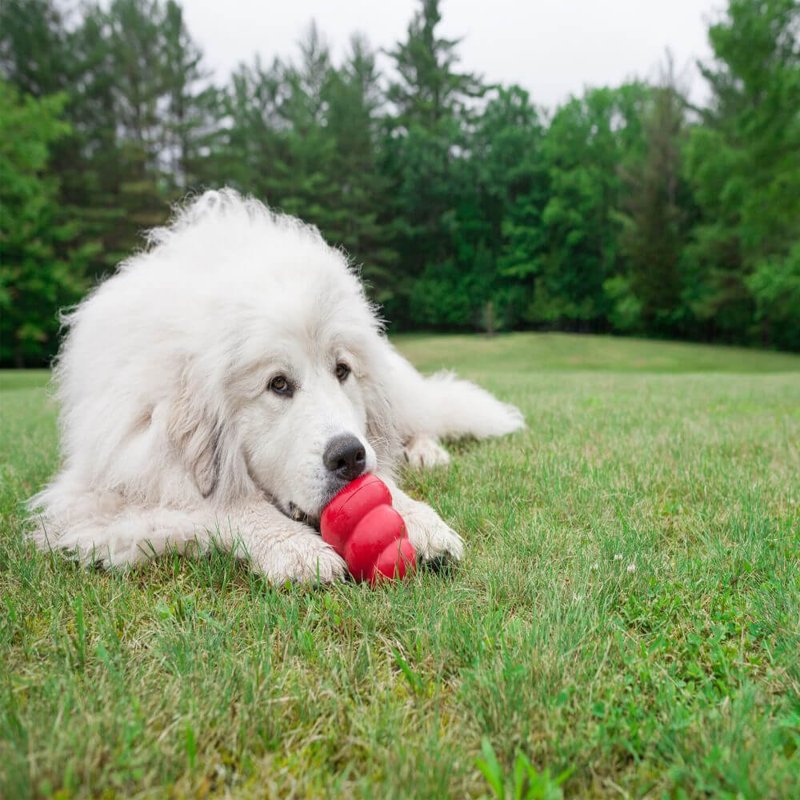 KONG Classic Stuffable Dog Toy - Fetch & Chew Toy for Dogs - Treat-Filling Capabilities & Erratic Bounce for Extended Play Time - Durable Natural Rubber Material - for Extra Large Dogs