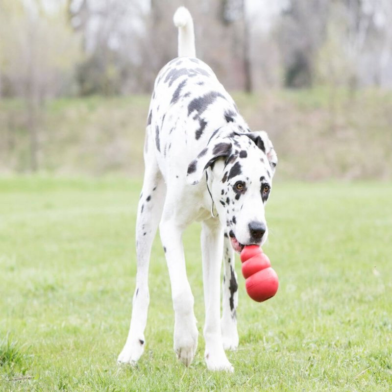 KONG Classic Stuffable Dog Toy - Fetch & Chew Toy for Dogs - Treat-Filling Capabilities & Erratic Bounce for Extended Play Time - Durable Natural Rubber Material - for Large Dogs