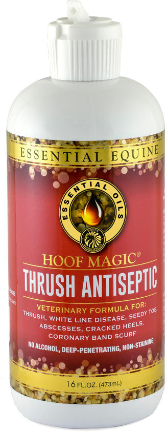 Front view of a white bottle with a red label and gold accents for Hoof Magic Thrush Antiseptic, 16 fl oz.