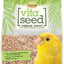 Vita Seed Natural Blend Canary