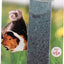 Deluxe Chew Guard Bottle Holder