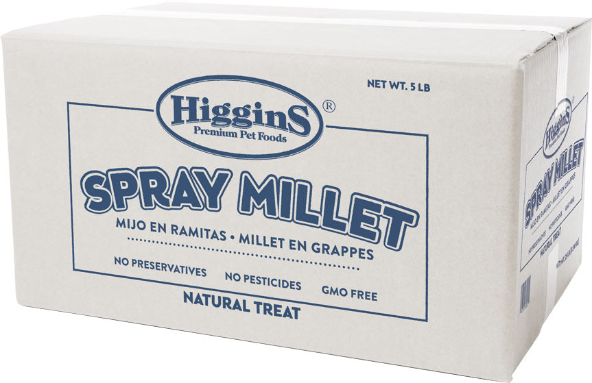 Higgins Spray Millet Natural Avian Treat