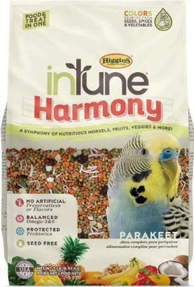 Intune Harmony Parakeet