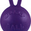 Jolly Pets Tug-N-Toss Ball