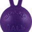 Jolly Pets Tug-N-Toss Ball