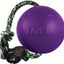 Jolly Pets Romp-N-Roll Ball
