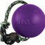 Jolly Pets Romp-N-Roll Ball
