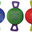 Jolly Pets Tug