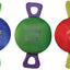 Jolly Pets Tug