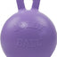 Jolly Pets Tug-N-Toss Ball