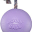 Jolly Pets Romp-N-Roll Ball