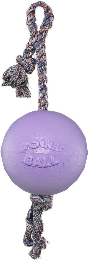 Jolly Pets Romp-N-Roll Ball