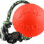 Jolly Pets Romp-N-Roll Ball