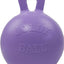 Jolly Pets Tug-N-Toss Ball