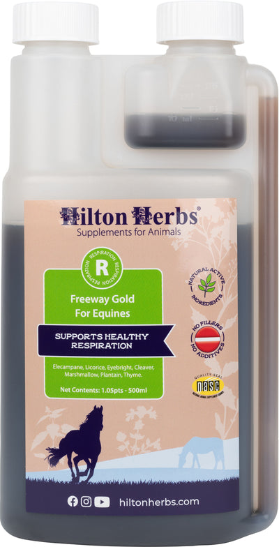 Front view of a Hilton Herbs packaged product labeled Freeway Gold For Equines with 1.05pt net contents.
