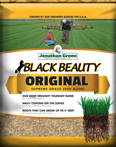 Black Beauty Tall Fescue Grass Seed Mixture