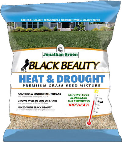 Black Beauty Heat & Drought