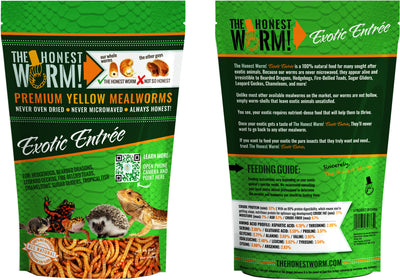 The Honest Worm! Exotic Entree Mealworms