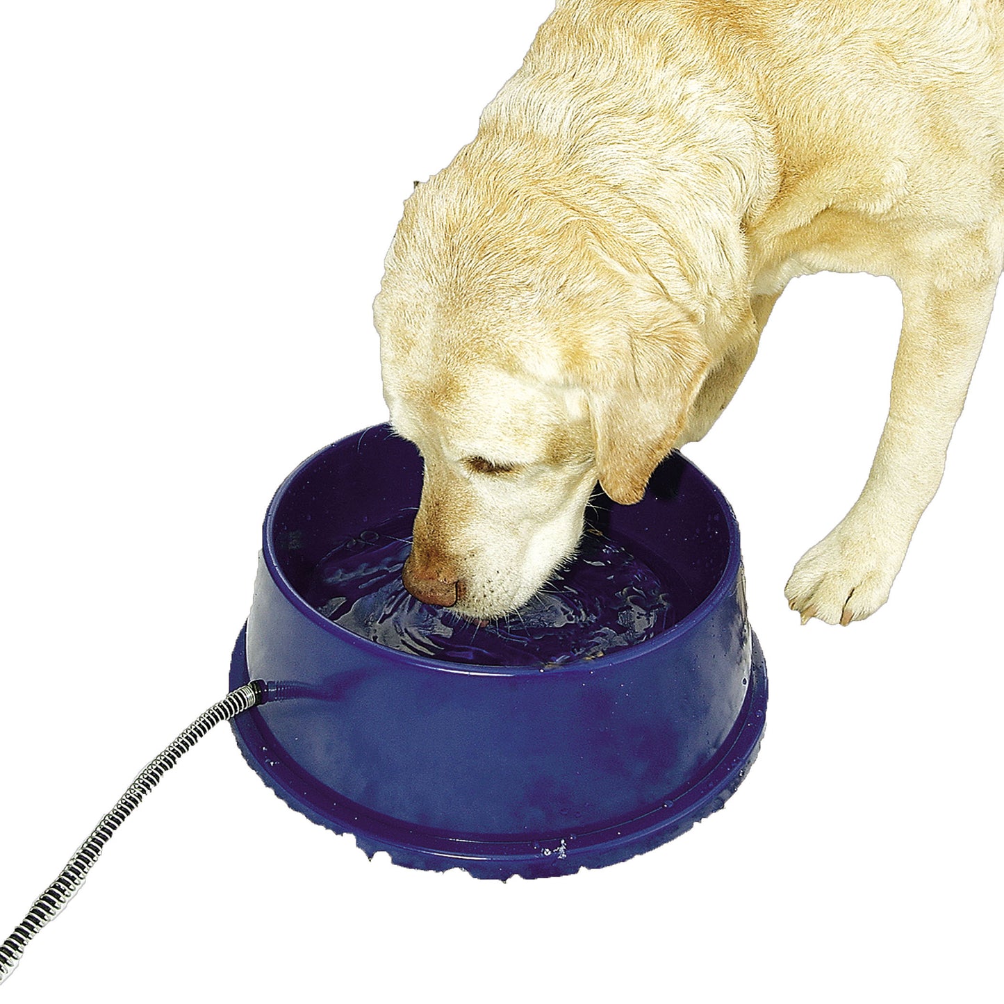 K&H Pet Products Thermal-Bowl Outdoor Heated Dog Bowl Blue 96 Ounces