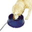 K&H Thermal Bowl Heated Pet Bowl