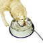 K&H Thermal Bowl Heated Pet Bowl