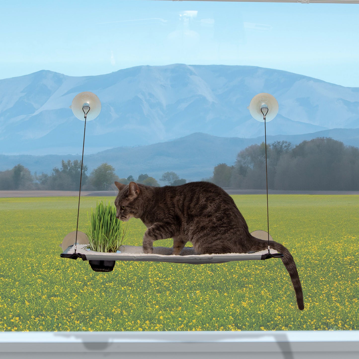 K&H WINDOW LOUNGER WITH GRASS GROW STATION