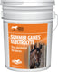 Summer Games Electrolyte Supplement