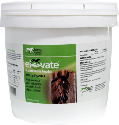 Elevate Maintenance Powder