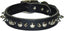Latigo Leather 1 Ply Spiked Dog Collar