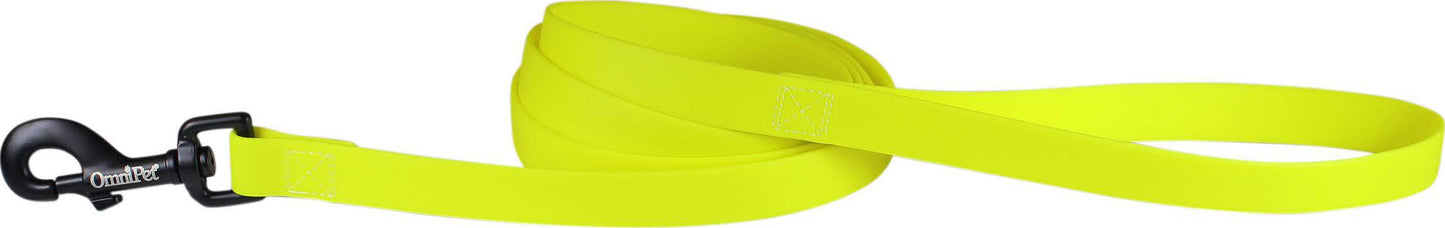 Carnival Biothane Dog Lead
