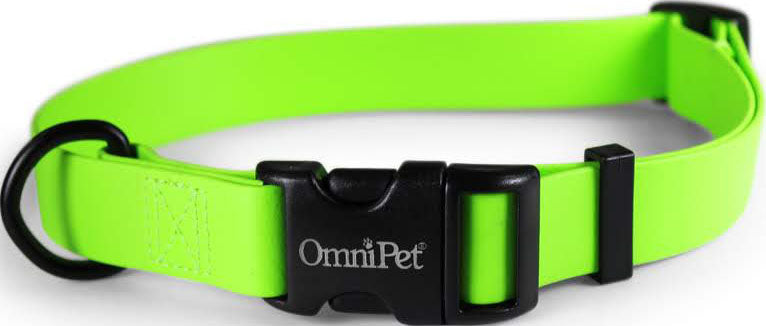 Carnival Biothane Dog Collar