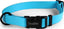 Carnival Biothane Dog Collar