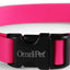 Carnival Biothane Dog Collar