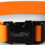 Carnival Biothane Dog Collar