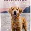 Ultimates Sensitive Skin & Stomach Dog Food