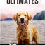 Ultimates Sensitive Skin & Stomach Dog Food