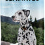 Ultimates Sensitive Skin & Stomach Dog Food