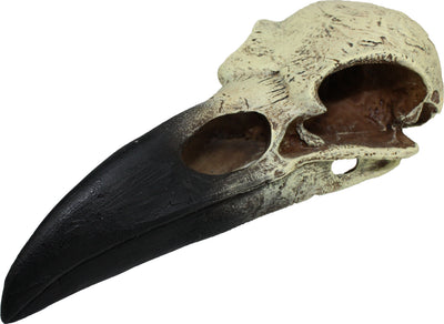 Komodo Raven Skull